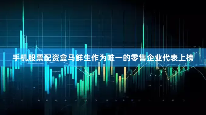 手机股票配资盒马鲜生作为唯一的零售企业代表上榜