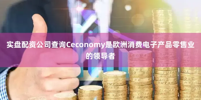 实盘配资公司查询Ceconomy是欧洲消费电子产品零售业的领导者