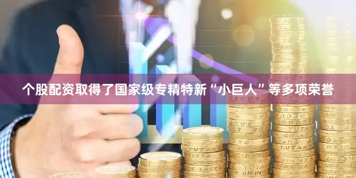 个股配资取得了国家级专精特新“小巨人”等多项荣誉
